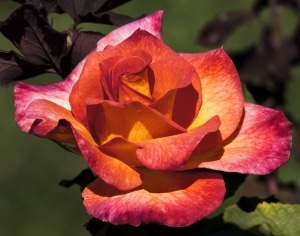 Kids Madlibs about Seasons